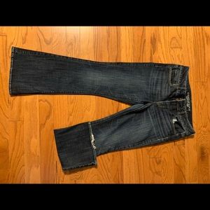 American eagle 10 short